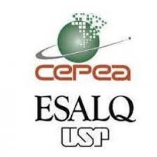 Cana: N&uacute;mero de trabalhadores cai, mas qualidade dos empregos cresce |  Brasilagro