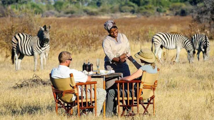 Kenya safari packages
