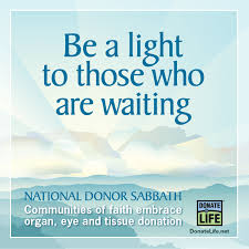 Image result for Tissue Donation