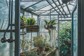 How to build a greenhouse. 8 Greenhouse Setup Ideas To Make Your Life Easier Odh