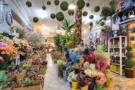 Cinarli Cicek Market