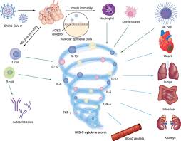 Image result for Multisystem Inflammatory Syndrome
