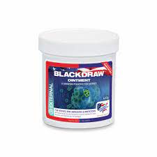 Equine America Blackdraw Ointment in White
