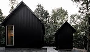 Zinc roof sheets are a popular choice for standing seam metal roofing. Pitched Roof Houses With Black Cladding 5 Stunning Example Azure Magazine