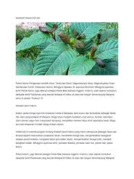 Kesan amalan pemakanan yang tidak sihat kesan banjir terhadap diri kertas ujian bahasa melayu tahun 2 kertas kerja objektif team building kes bunuh di malaysia kertas kerja hari kanak kanak kertas kerja bulan kemerdekaan kesan bahan kimia dalam makanan kes pencemaran air di malaysia kertas kerja pertandingan. Khasiat Daun Ketum