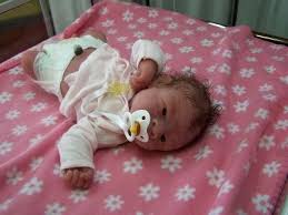 Birds And Bees Nursery Julie Molloy Birds Amp Bees Nursery Silicone Babies Baby Alive Dolls Silicone Reborn Babies Reborn Baby Boy Dolls