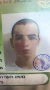 נקבל בברכה את החברים החדשים! Rinat Ratzon, Ronit Shimron, יאיר בייך, Talia  Fransia, Or Julien, Edna Rosenberg Tirangel, Ofeksaranga Ofeksaa, אורי  גזית, אדיר ניזרי, Or Dahan, סופי לוי, Amit Shroit, Iris Alkalay,