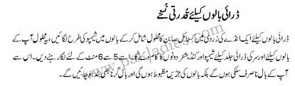 No amount of deep conditioning can hydrate it), it's not a bad idea to adjust your diet. Natural Remedies For Dry Hair In Urdu English