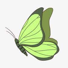 Pin En Mariposa