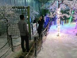 Taman botani negara shah alam (bukit cerakah) taman botani negara shah alam (tbnsa) is an area of forests combined with plantations/botanical gardens that lies towards the north of shah alam city. Alami Musim Salji Di Taman Botani Negara Shah Alam Facebook