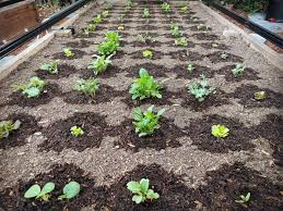 A butterfly garden news and pictures about shade garden design plans shade garden design planning | ehow.com growing plants in the shade poses more. Farmbot Automated Garden Kit Controlled Through App