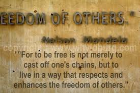 Mandela museum & hector petersen memorial, apartheid museum. Apartheid Museum Johannesburg Whyjoburg Com