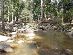 Harga keda resort bendang man yang terkini ! Rimba Rekreasi Lata Mengkuang Sik Percutian Bajet