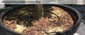 Dramm Pressure Compensated Dribble Ring