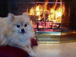 Masonry fireplaces have more glass door options. Benefits Of Adding Glass Doors To Your Fireplace Ct Chimney Sweep