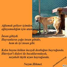 Aglamak Geliyor Icimden Aglayamadigim Icin Utaniyorum Nazim Hikmet Torunlar Hayvan Insan
