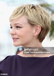 135,396 Carey More Stock Photos, High-Res Pictures, and Images