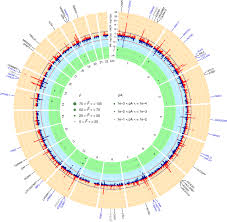This is an archived article that was published on sltrib.com in 2011, and. Genome Wide Association Meta Analyses And Fine Mapping Elucidate Pathways Influencing Albuminuria Nature Communications