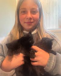 All the dogs from the Ronkonkoma hoarding case that we were able to find  foster homes for have been seen by a vet and given clean bills of health.  They will be