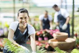 Jetzt ran an schaufel, bagger, harke & co.! Ausbildung Als Landschaftsgartner Infos Und Freie Platze