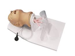 The item 13822 sunnex class 2 transformer model 710 lamp gooseneck & weighted base vguc is in sale since thursday, august 6, 2020. Adult Intubation Head Airway Larry Erler Zimmer