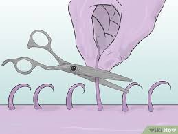 Find out how to shave your pubic hair and take care of the man garden. How To Shave Your Pubic Hair 13 Steps With Pictures Wikihow