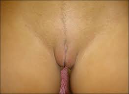 Submitted 2 years ago by imvinx. Shyra S Camel Toe