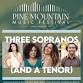 Pine Mountain Music Festival presents: A Little Light Music