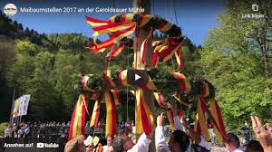 Wie in den letzten jahren haben die hackerjungs erfolgreich den 20 m langen maibaum gestellt. 3 Gemeinsames Maibaumstellen Aktuelles Geroldsauer Muhle
