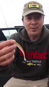 Breaking down the 4 inch Eye-Candy Minnow w/ Tom Huynh! 👌🎣  #TeamNorthlandTackle #WeAreWalleye #EyeCandy #Walleye #Walleye #Walleyes  #WalleyeFishing #WalleyeTournaments #WalleyeAngler #WalleyeNation ...