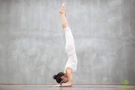 It is associated with a website and regular conferences, and produces materials such as dvds on yoga and related subjects. Pincha Mayurasana Unterarmstand Yogabox Blog