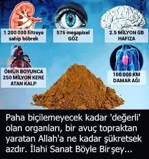 Ibretlik Hikayeler Www Goruntuler Ile Okuma Calismasi Ilham Veren Sozler Gercekler