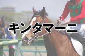 S 内田 四位 和田 幸 福永 池添 津村 藤岡弟 義 富田. ã¶ã£é£›ã³ã™ãŽã ã¨æ€ã†ç«¶èµ°é¦¬ã®åå‰ãƒ©ãƒ³ã‚­ãƒ³ã‚° ãƒ¢ãƒ‡ãƒ«ãƒ—ãƒ¬ã‚¹