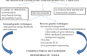 This, the first volume of the 'integrated management of plant pests and diseases. Pdf Mutagenesis In Plant Breeding For Disease And Pest Resistance Semantic Scholar