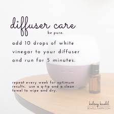 My Favorite Essential Oil Diffuser Blends And Recipes Plus Free Downl Essential Oils Aromatherapy Essential Oil Diffuser Recipes Essential Oil Diffuser Blends