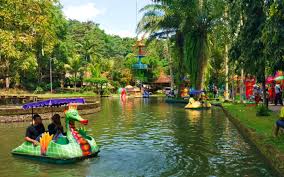 Kolam renang pertama di khususkan untuk orang dewasa. Taman Botani Sukorambi Tiket Wahana Mei 2021 Travelspromo