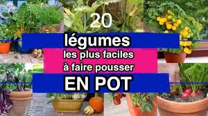 Les végétaux de nos jardins, balcons et intérieurs ne sont pas en reste, en effet 2015 voit l'émergence du phénomène de plantes connectées…revue des projets et objets proposés que nous rendent les plantes faciles d'entretien… Les 20 Legumes Les Plus Faciles A Faire Pousser En Pot