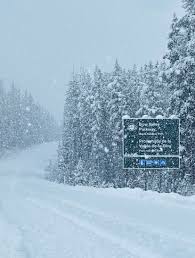 Happy moments in banff's heavy snow?