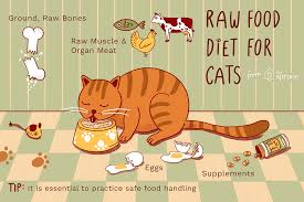 Referring to a cat feeding schedule chart could serve as your guide in making sure your cat is eating healthy. Should You Feed Your Cat A Raw Diet