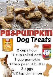 Diy Peanut Butter Pumpkin Dog Treats Recipe In 2021 Dog Treats Homemade Easy Pumpkin Dog Treats Dog Treats