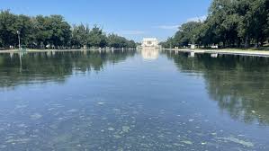 lincoln memorial reflecting pool Picture
