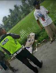 We did not find results for: Tawuran Pelajar Di Mungkid 1 Tewas Polisi Pelaku Segera Kita Tangkap Ungarannews