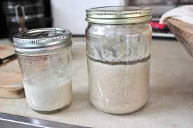 Starter is fed with a ratio of the original ferment to water and flour. Recipe Ish How To Feed A Sourdough Starter Salmon And Souvlaki