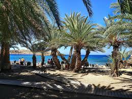 Plage de vai à sitia: Vai Palmenhain