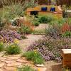 It's an efficient way to landscape with native plants that require minimal water. 1