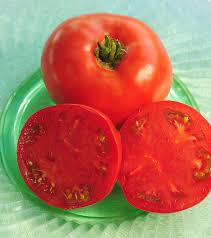 We did not find results for: J Moran Burrell Seeds