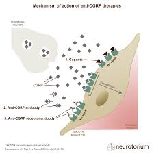 Image result for Gepant