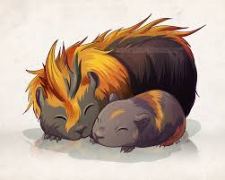 Guinea Pig Love Quotes Quotesgram