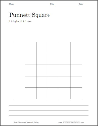 Set up the crosses using the rules and the letters from the other page. Punnett Squares Crosses Involving Two Traits Answers