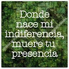 Indiferencia Con Imagenes Dichos Y Frases Palabras De Sabiduria Frases Sobre Personas